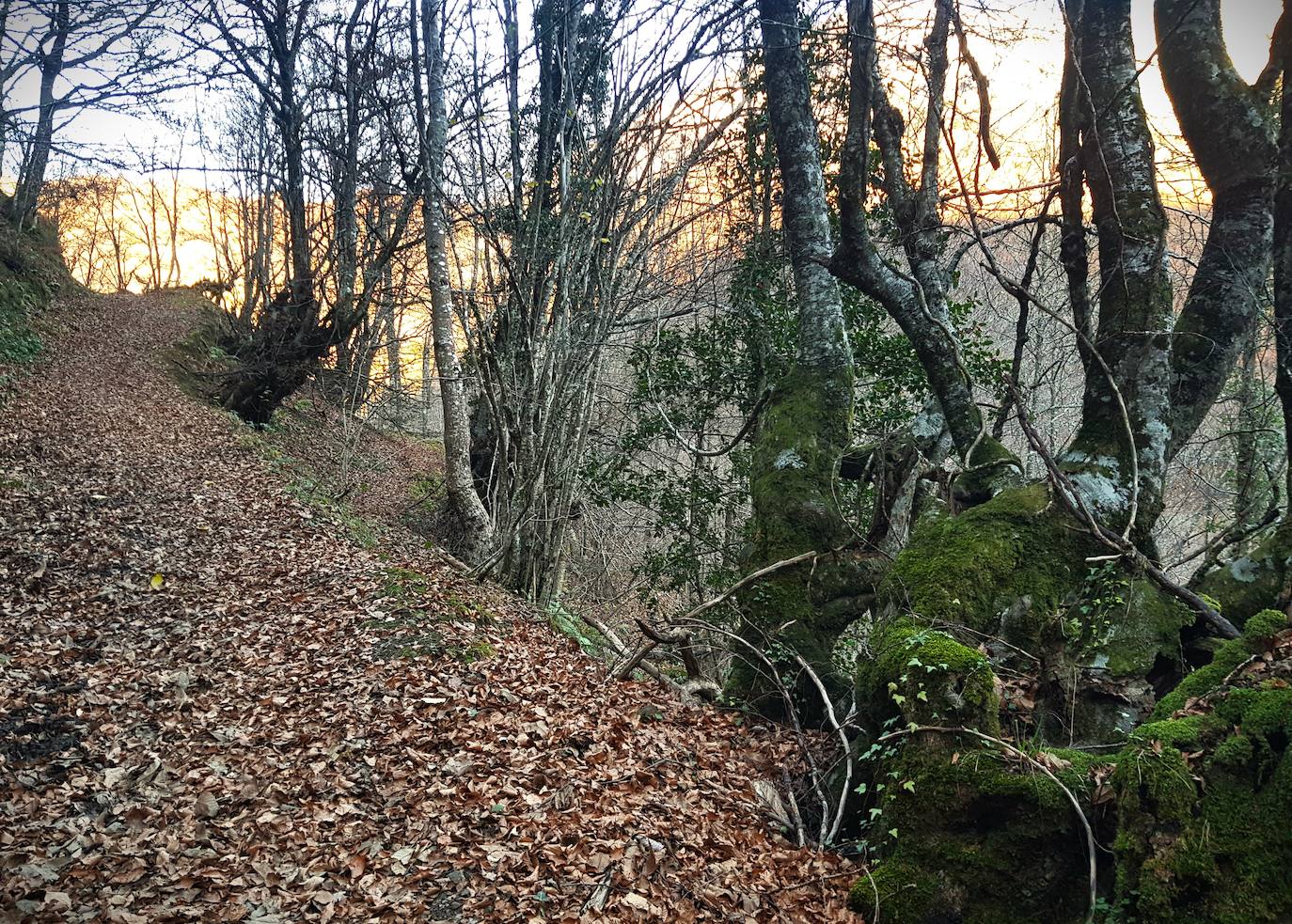 Los espectaculares rincones de la ruta Cabeza del Arco