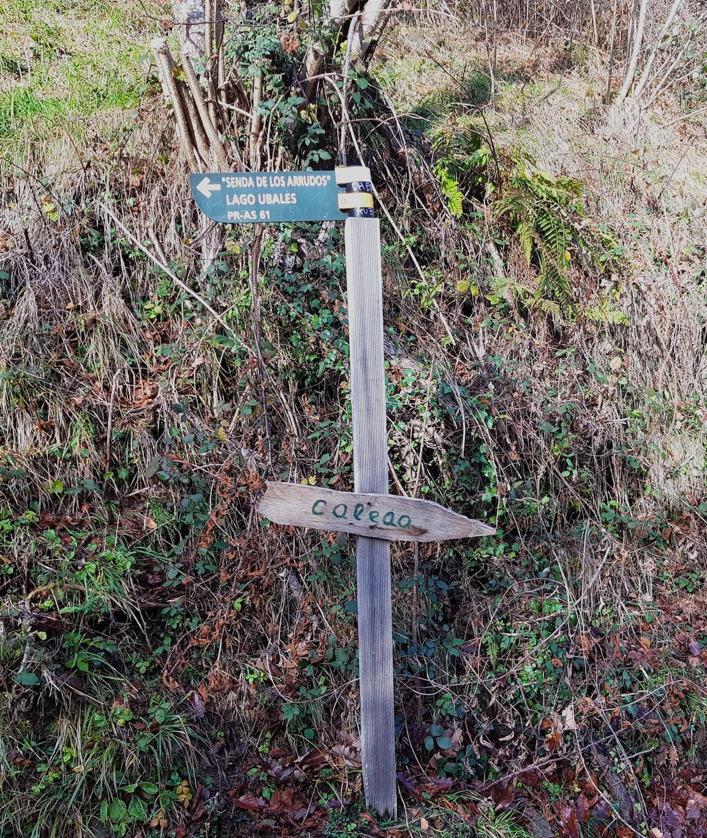 Imagen secundaria 2 - Senda de los Arrudos/ río de los Arrudos/ cruce con indicaciones para regresar a Caleao por la senda de los Arrudos