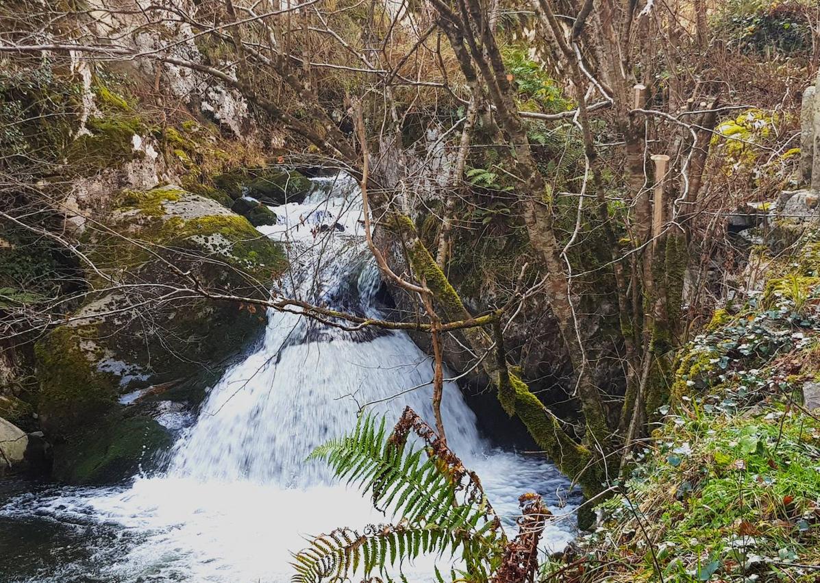 Imagen secundaria 1 - Senda de los Arrudos/ río de los Arrudos/ cruce con indicaciones para regresar a Caleao por la senda de los Arrudos