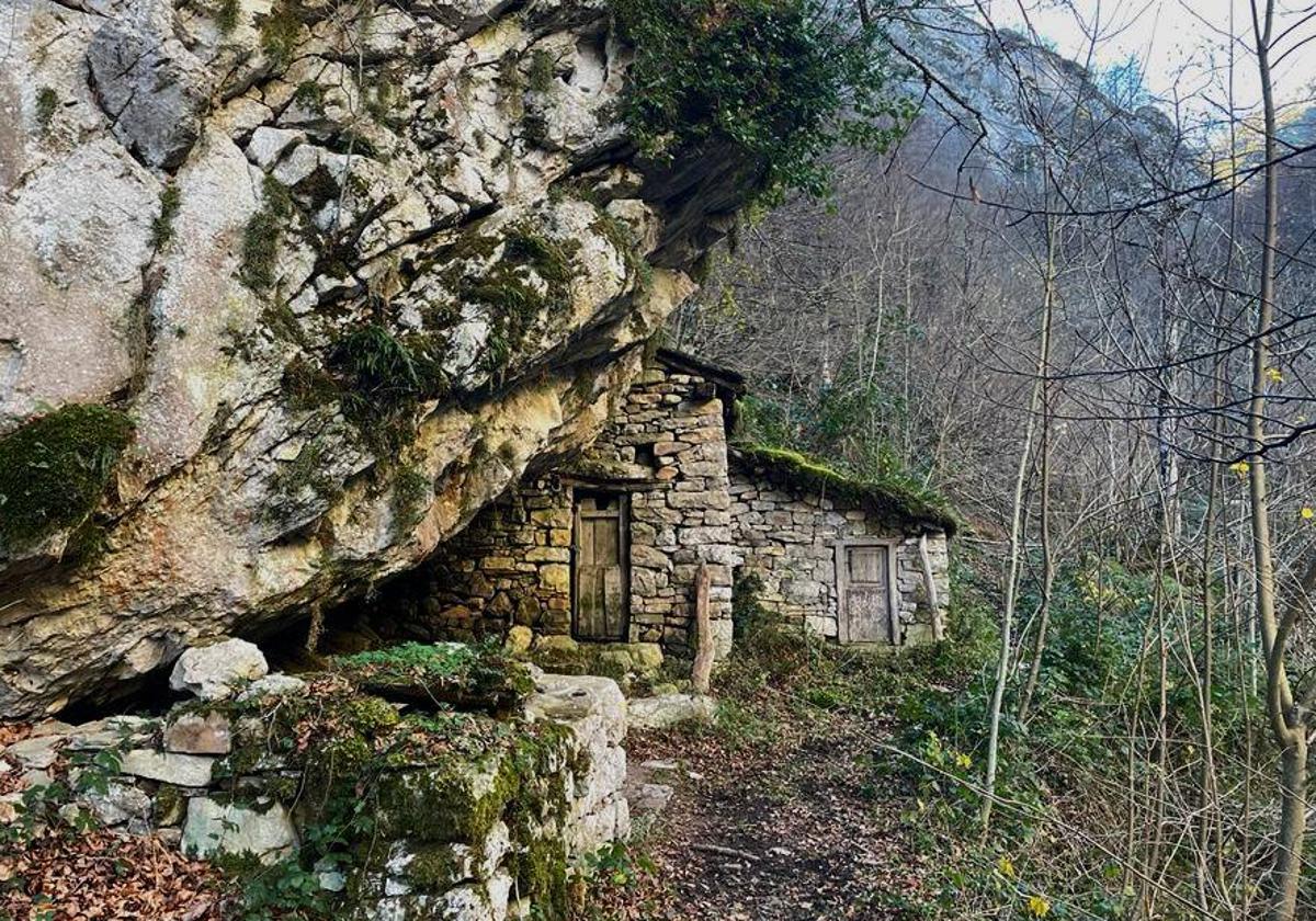 Las zonas de cabañas y senderos ganaderos se mezclan con profundos bosques de robles y hayas, con arroyos viajeros, y con estupendas vistas hacia las montañas colindantes en esta excursión por el Parque Natural de Redes