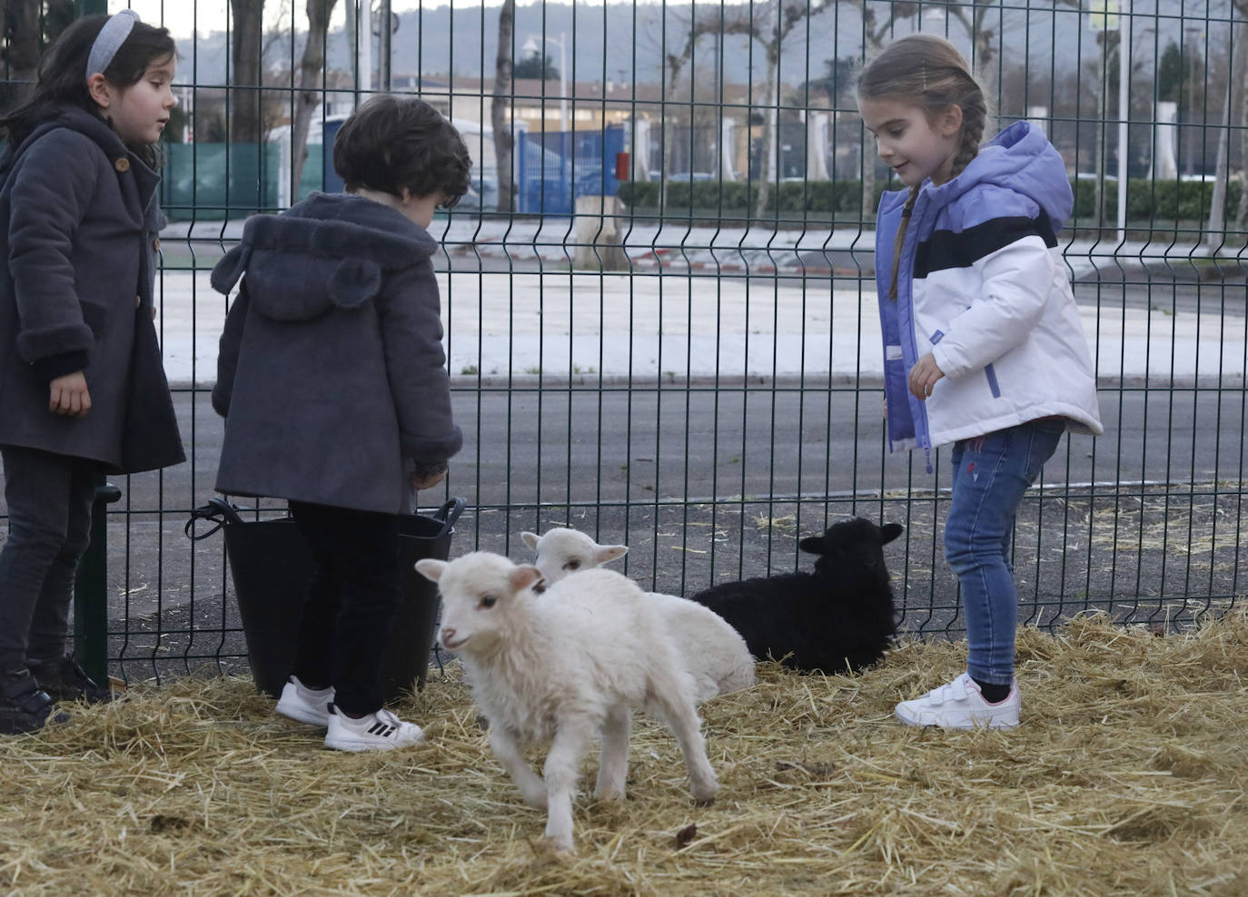 Fotos: Mercaplana se despide de Gijón por todo lo alto