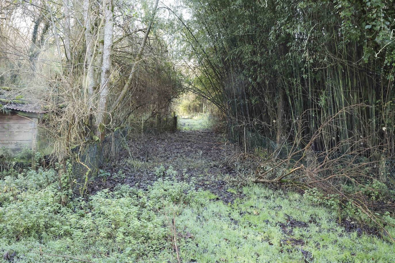 Fotos: El triste final del zoo de Cangas