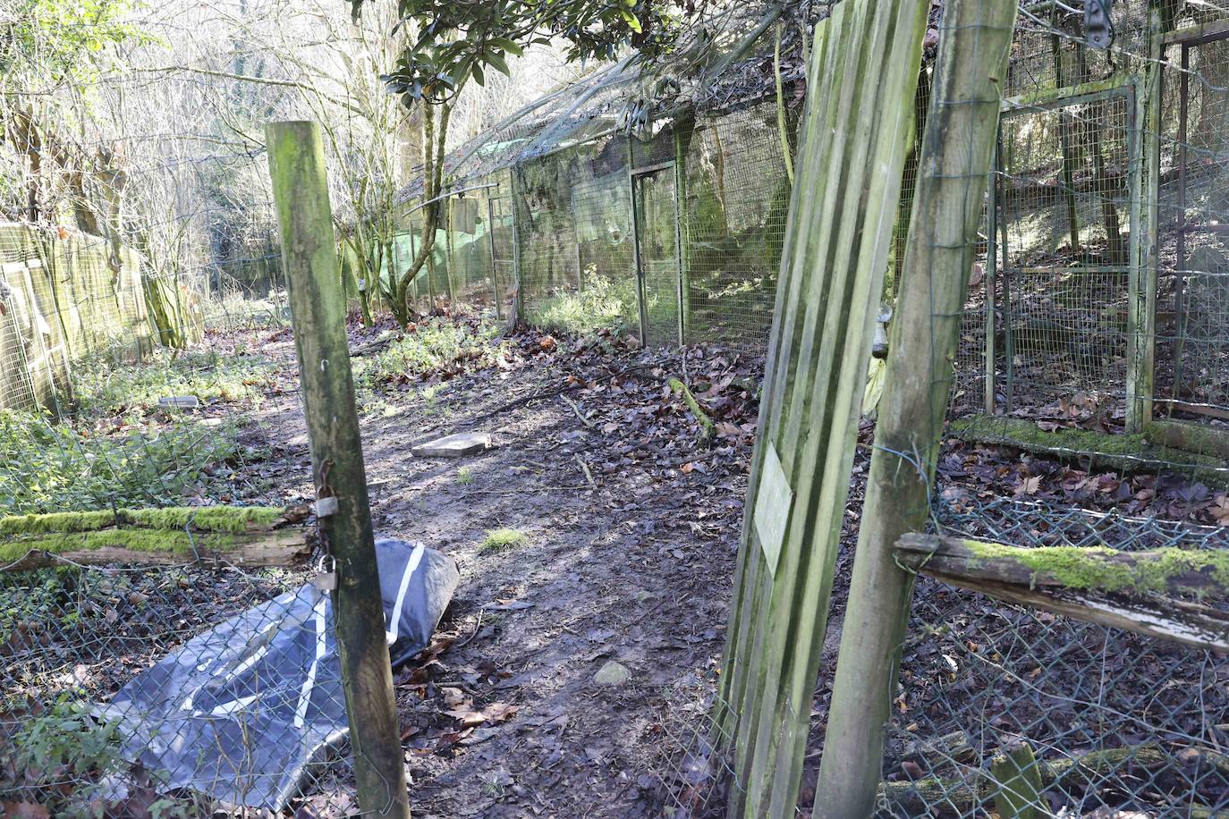 Fotos: El triste final del zoo de Cangas