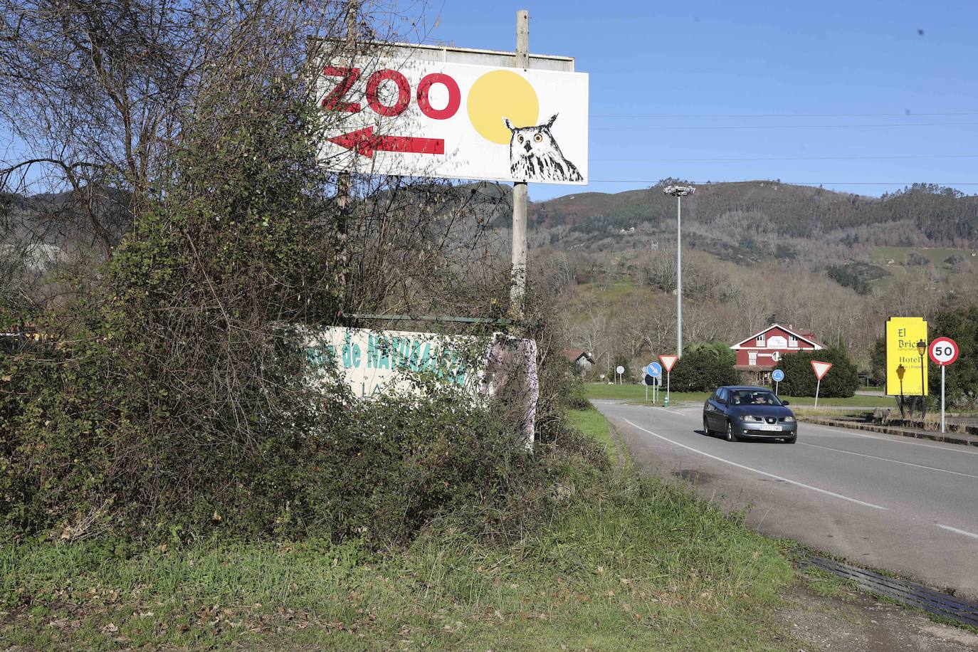 Fotos: El triste final del zoo de Cangas