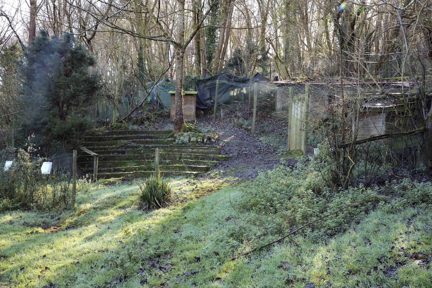 Fotos: El triste final del zoo de Cangas