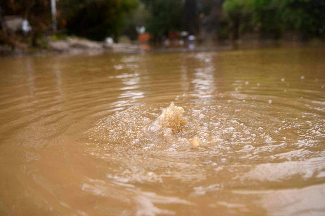 Fotos: La devastadora tormenta en California: al menos 14 muertos por las lluvias