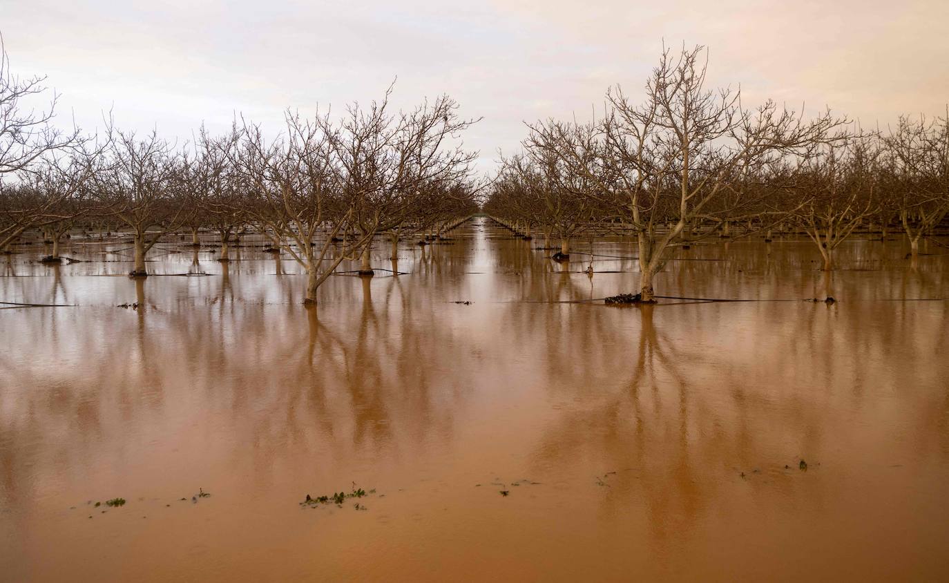 Fotos: La devastadora tormenta en California: al menos 14 muertos por las lluvias