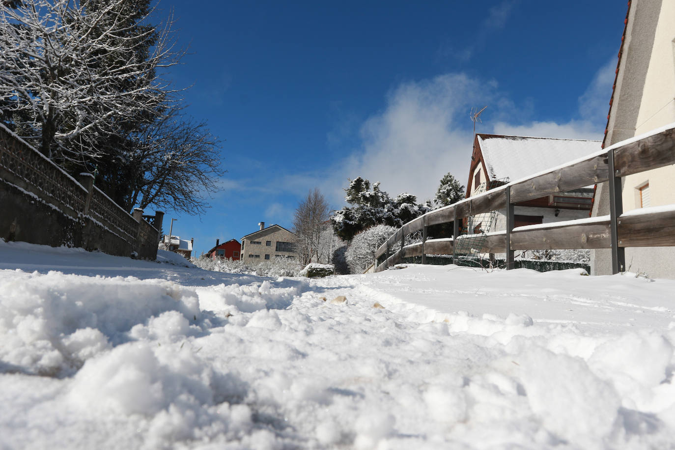 Fotos: Las primeras nieves en Asturias