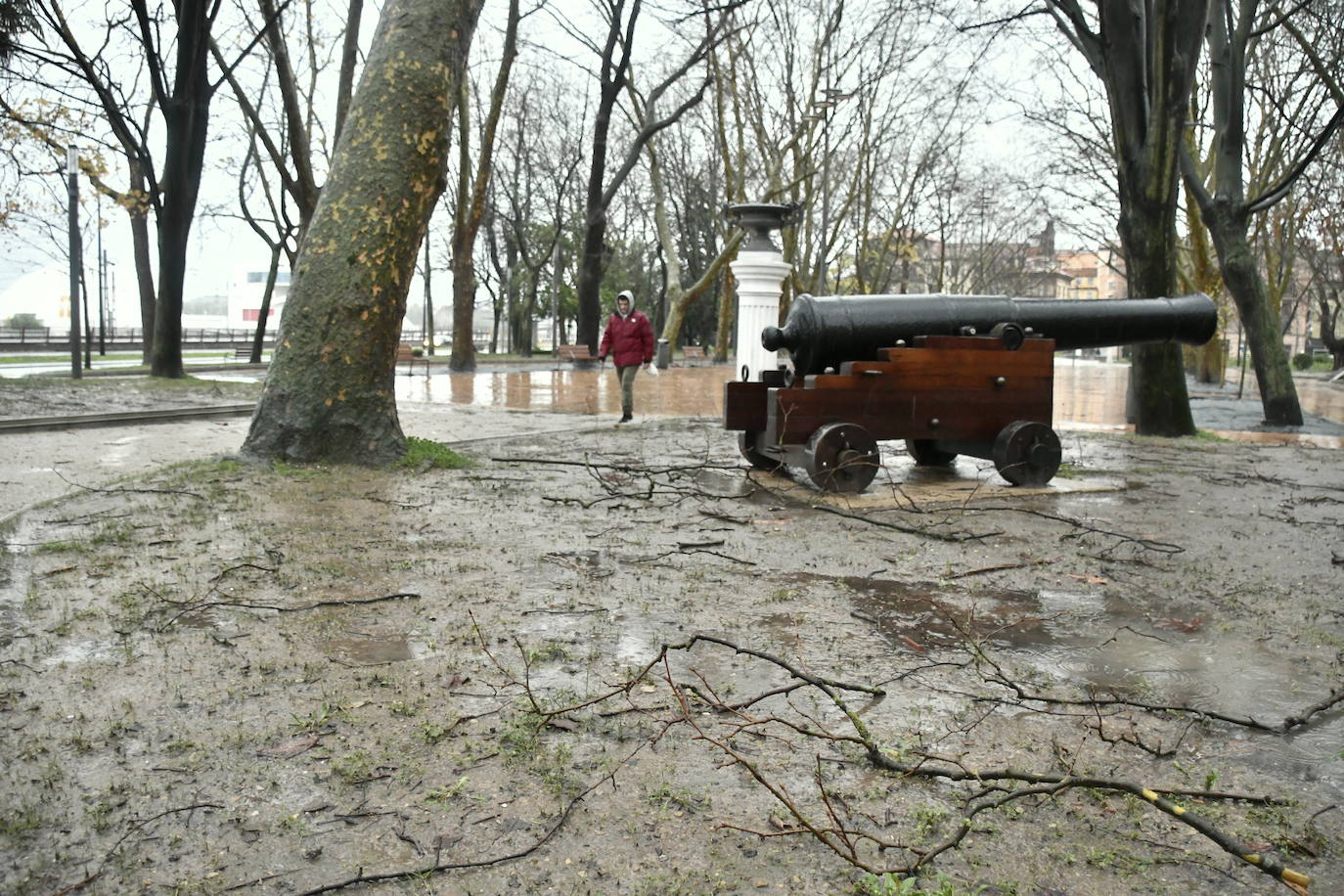 Fotos: Las consecuencias del temporal en Avilés: calles inundadas y árboles caídos