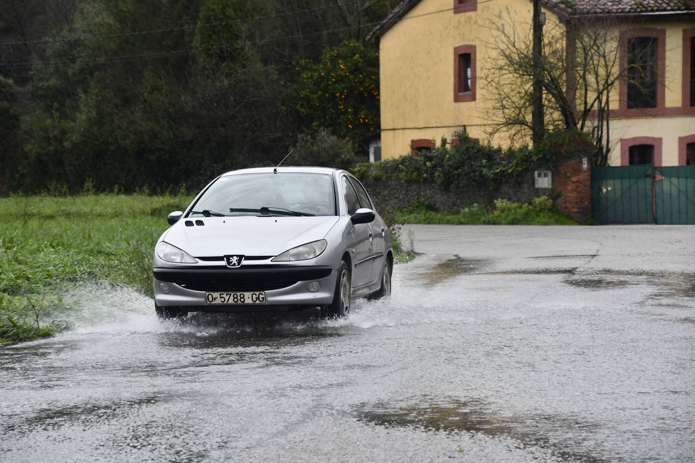 Fotos: Las consecuencias del temporal en Avilés: calles inundadas y árboles caídos