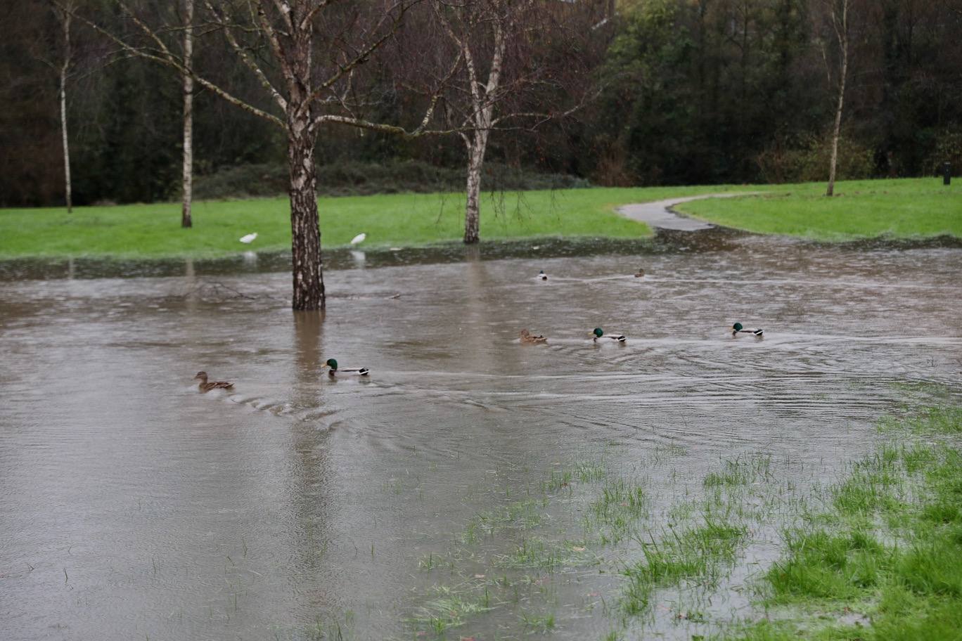 Fotos: Consecuencias del temporal en Gijón: inundaciones, calles cortadas y varios desperfectos