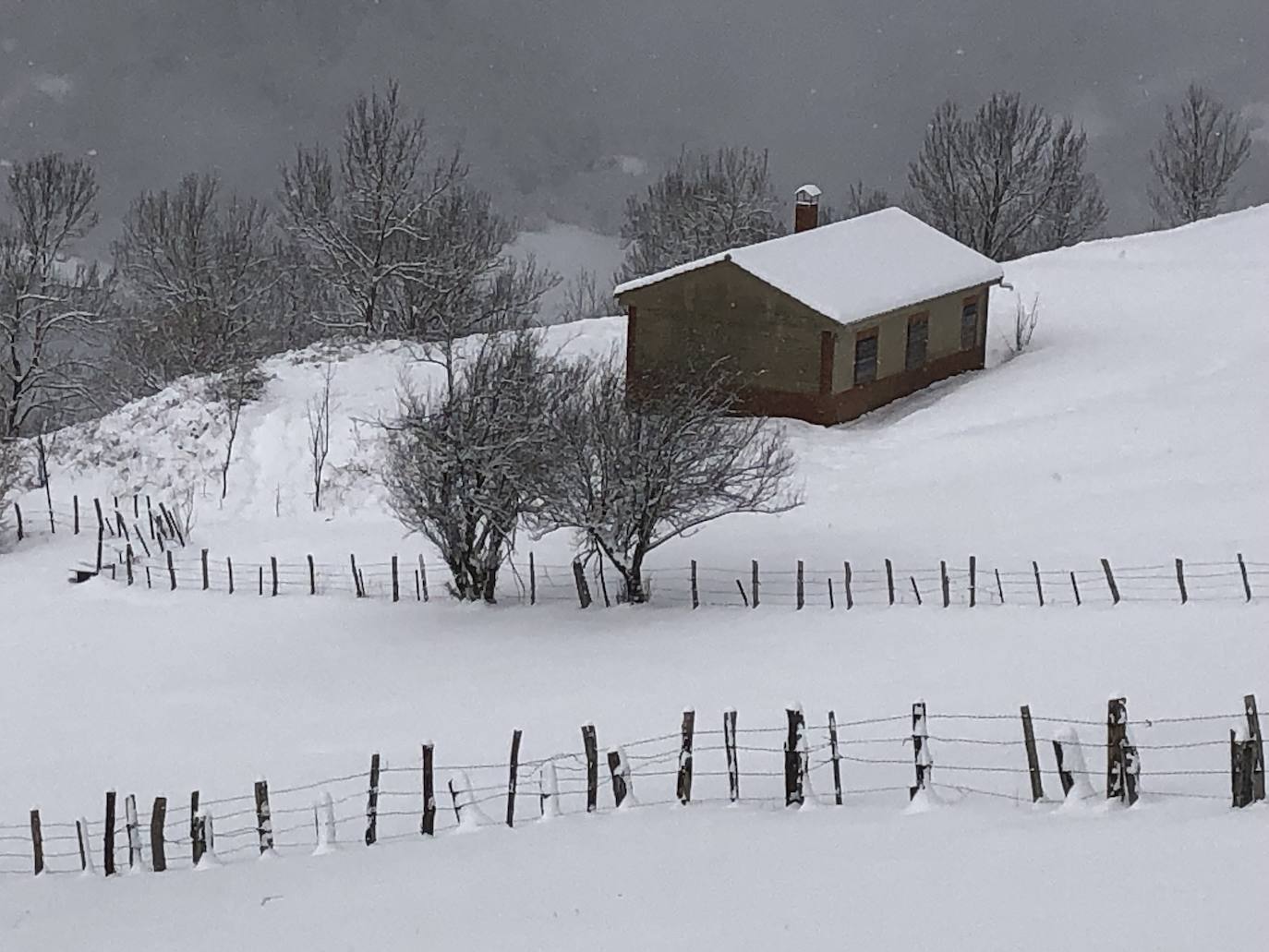 Fotos: Asturias lucha contra el frío: las imágenes que deja el intenso temporal