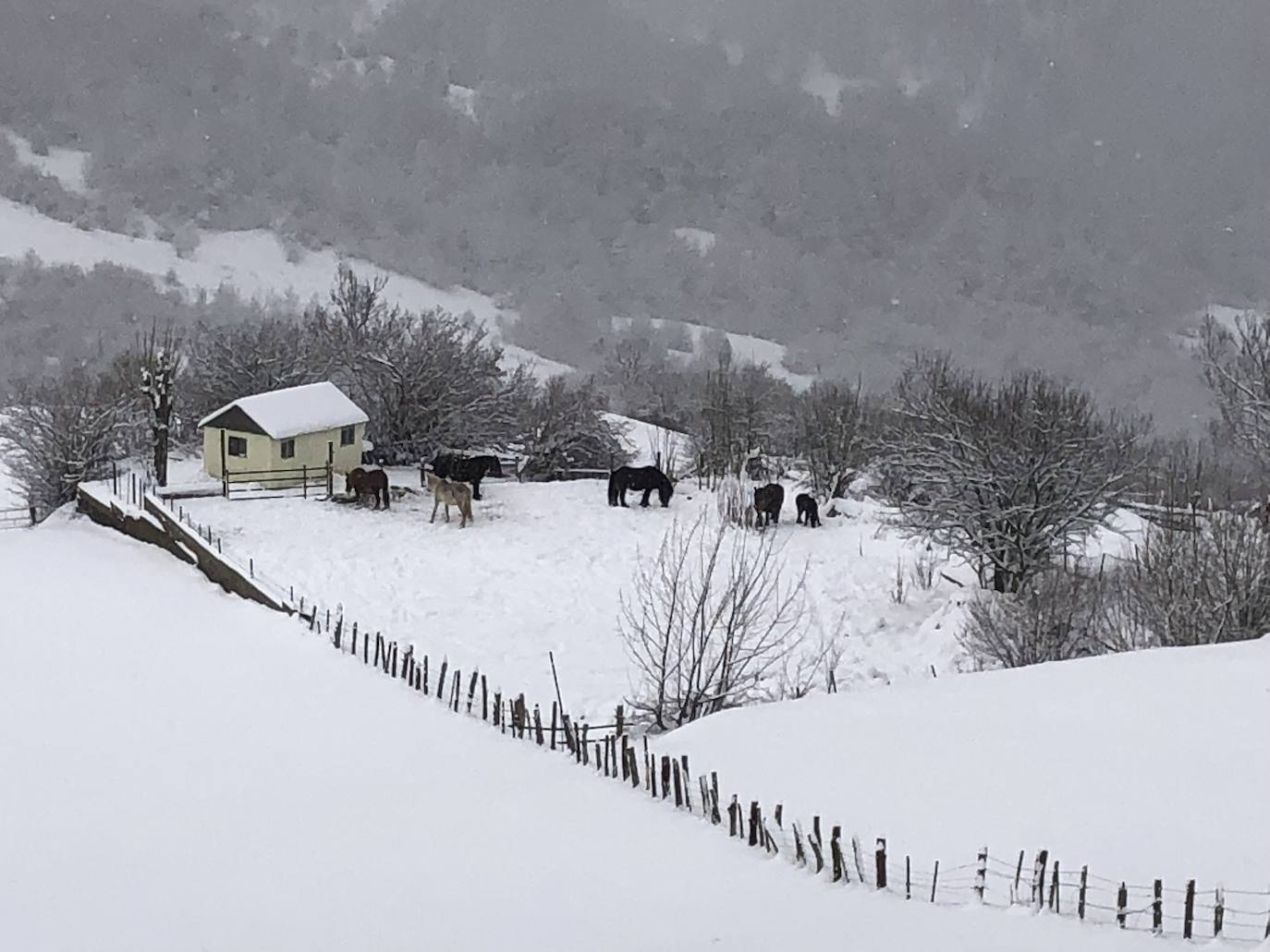 Fotos: Asturias lucha contra el frío: las imágenes que deja el intenso temporal