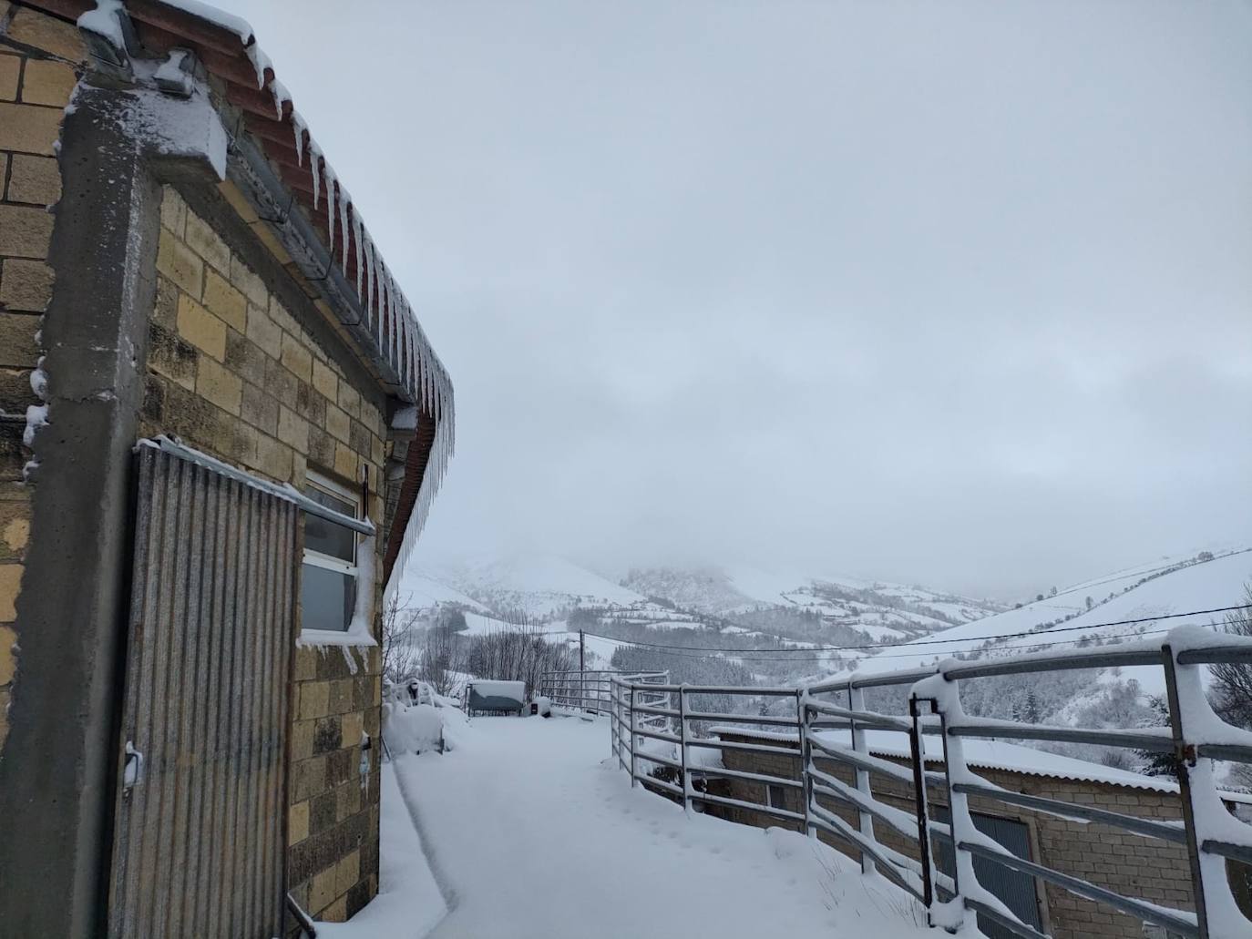 Fotos: Asturias lucha contra el frío: las imágenes que deja el intenso temporal