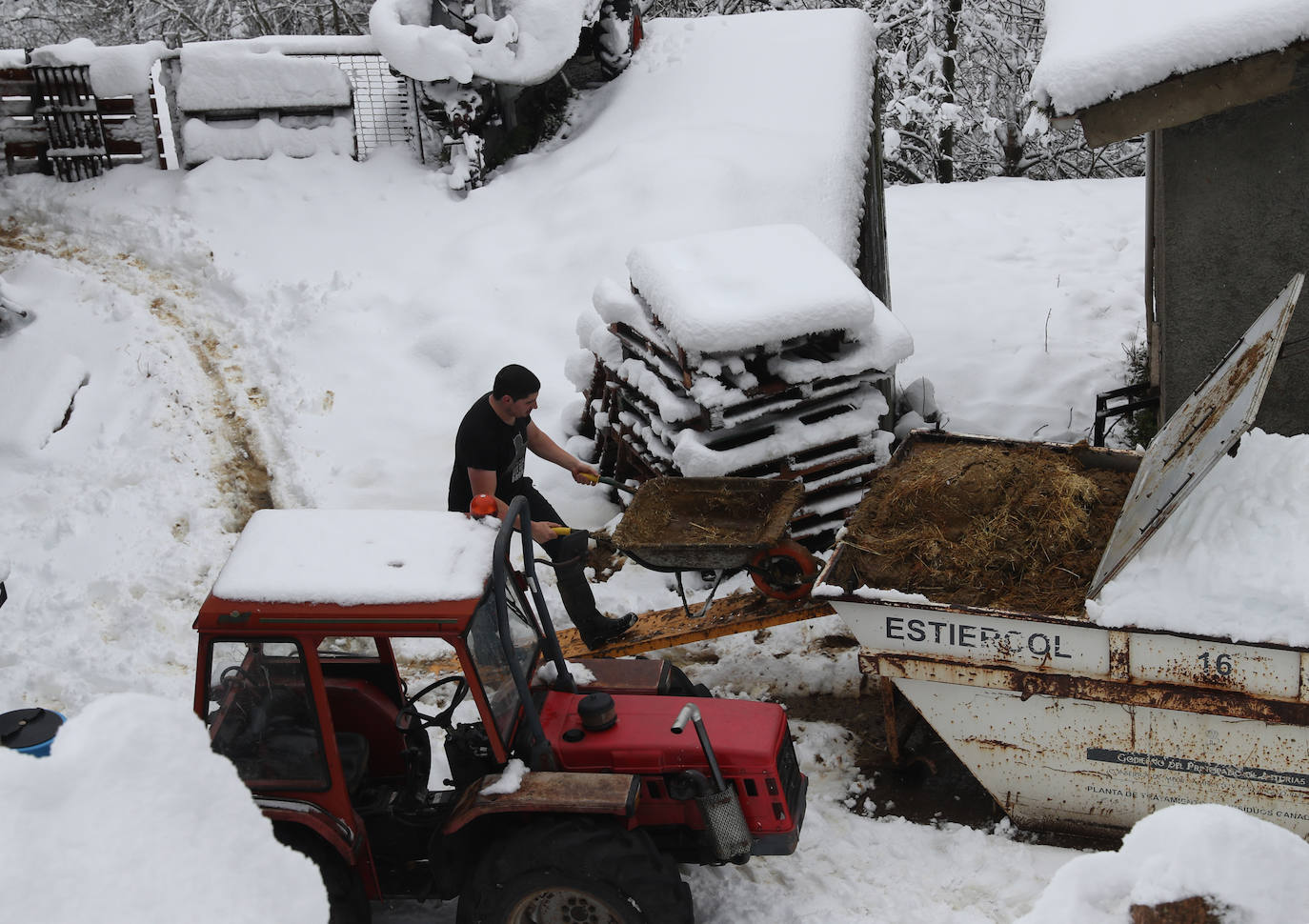 Fotos: Así luce el pueblo de Sotres por las nevadas