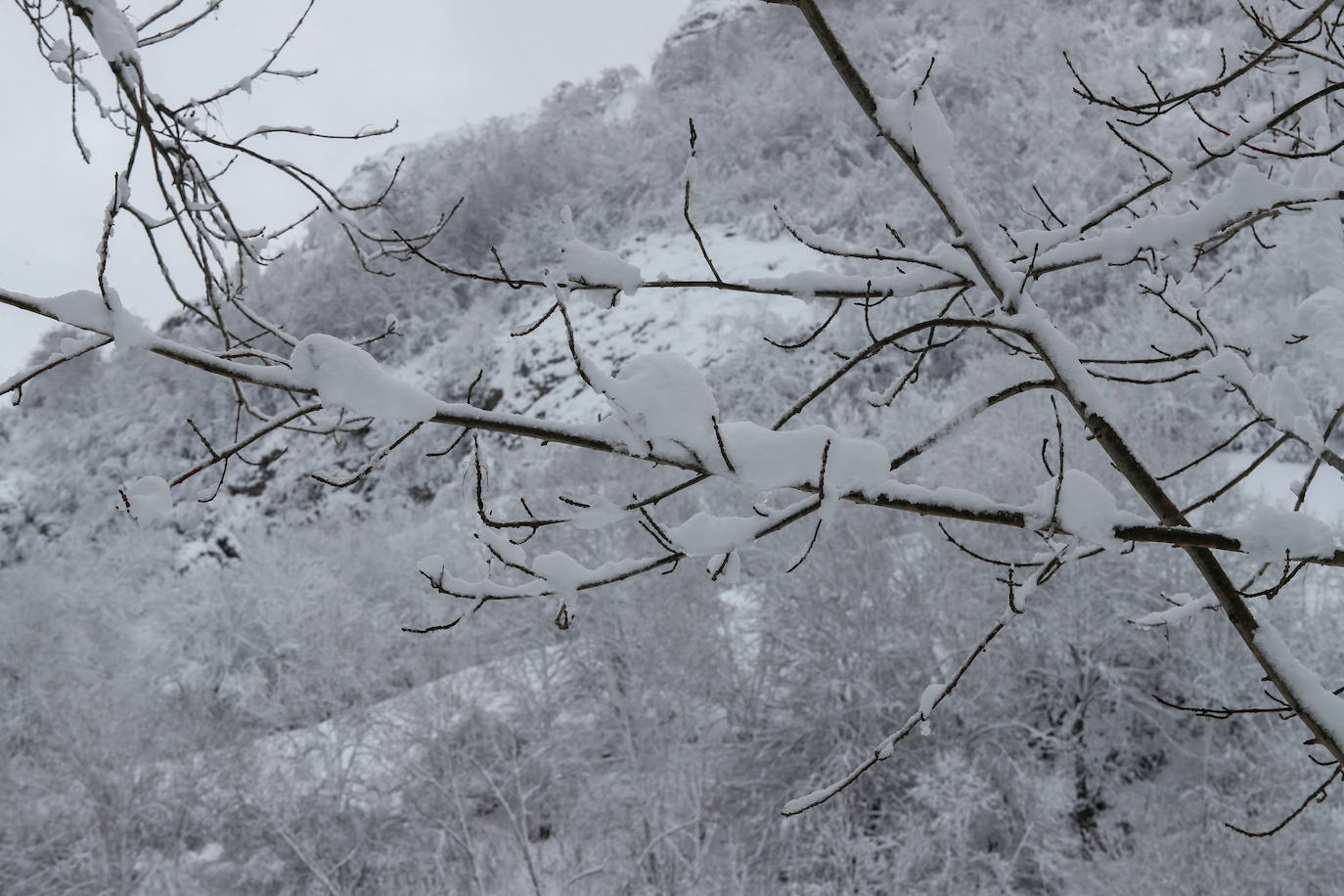 Fotos: Así luce el pueblo de Sotres por las nevadas