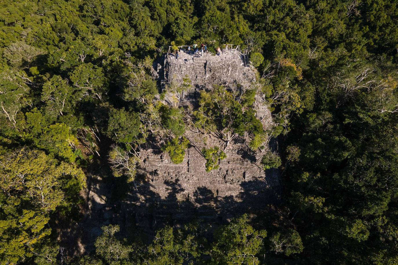 Fotos: Un tesoro maya oculto en la selva