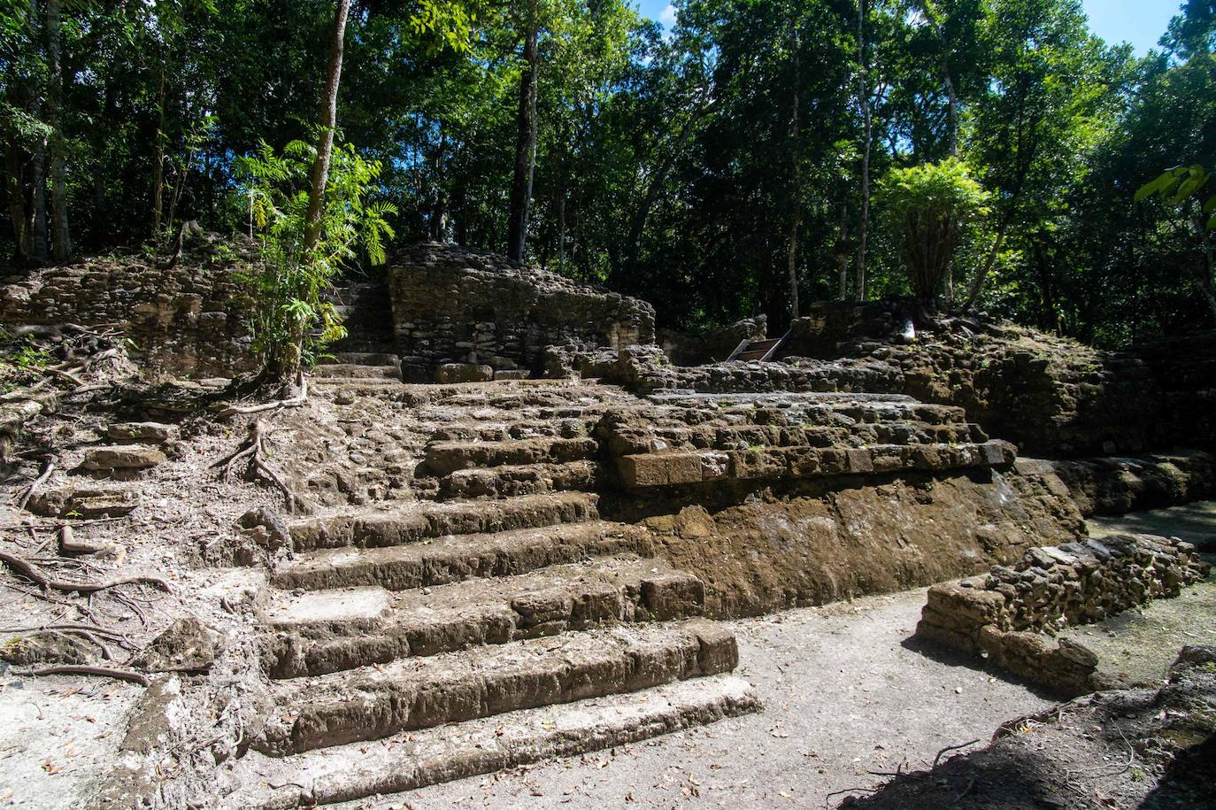 Fotos: Un tesoro maya oculto en la selva