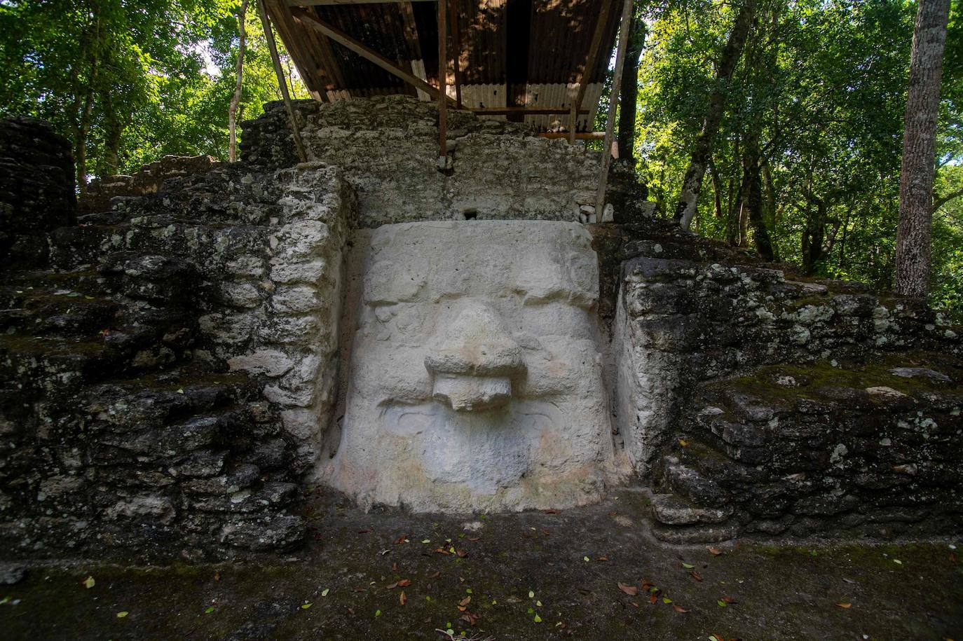 Fotos: Un tesoro maya oculto en la selva