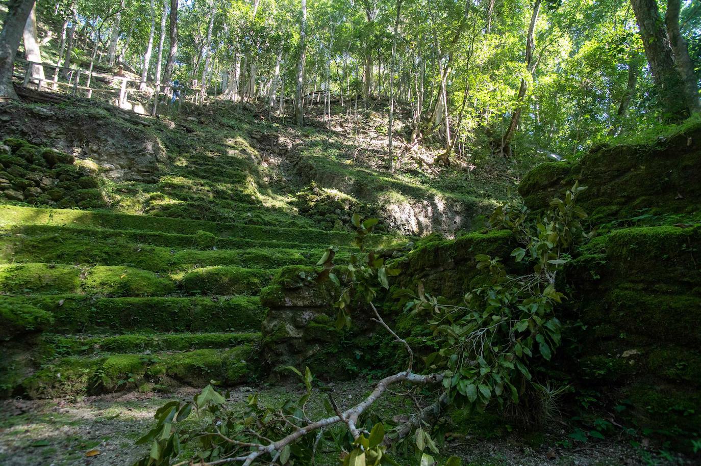 Fotos: Un tesoro maya oculto en la selva