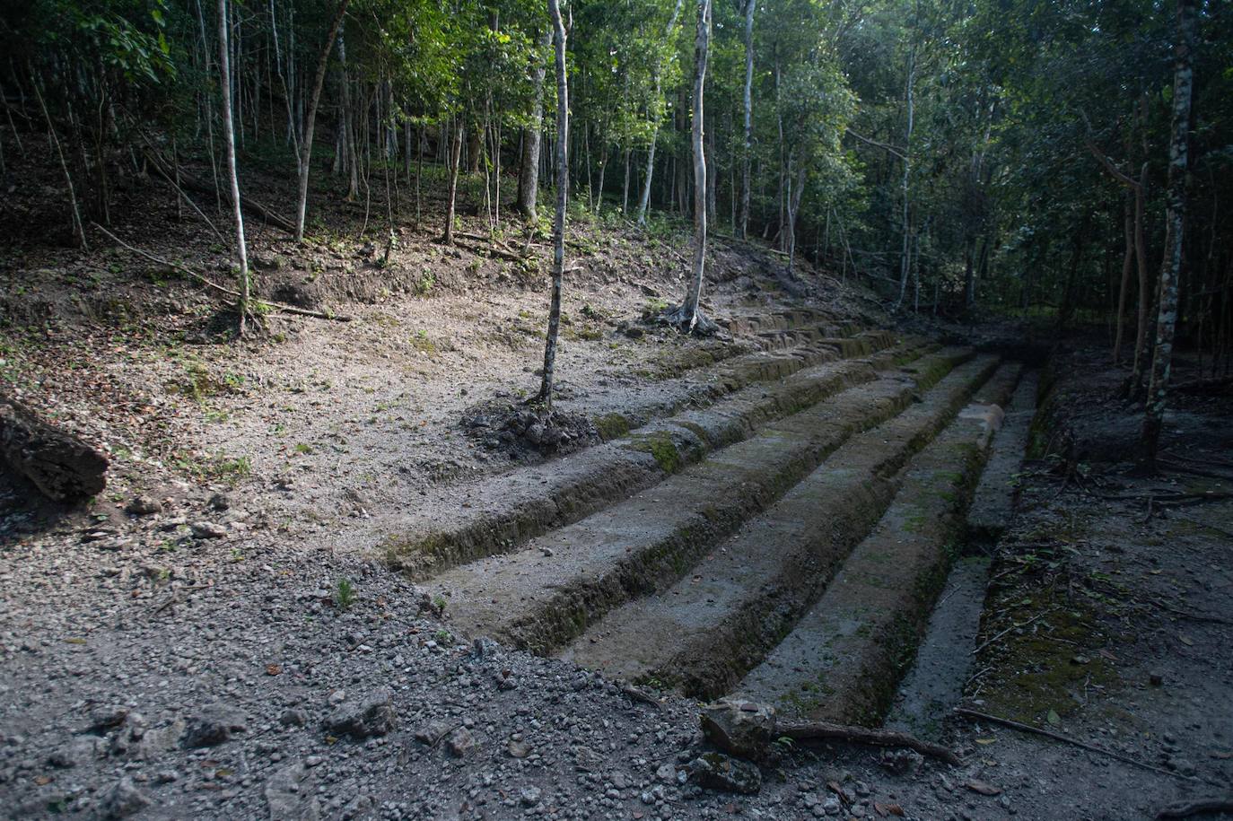 Fotos: Un tesoro maya oculto en la selva