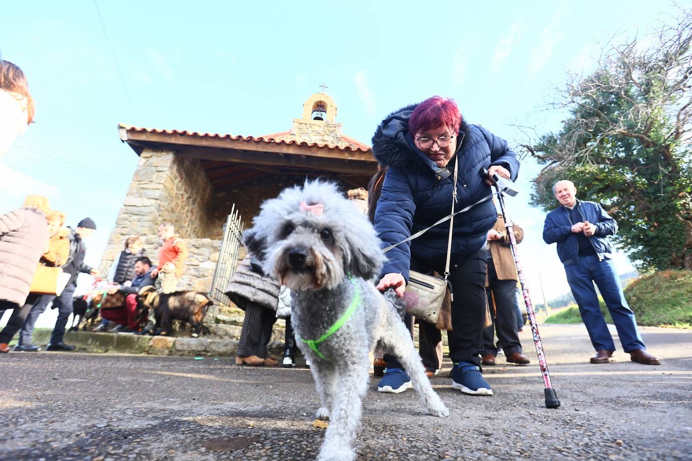 Fotos: San Antón protege a las mascotas de Taborneda