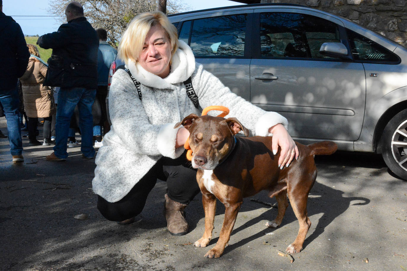 Fotos: San Antón protege a las mascotas de Taborneda