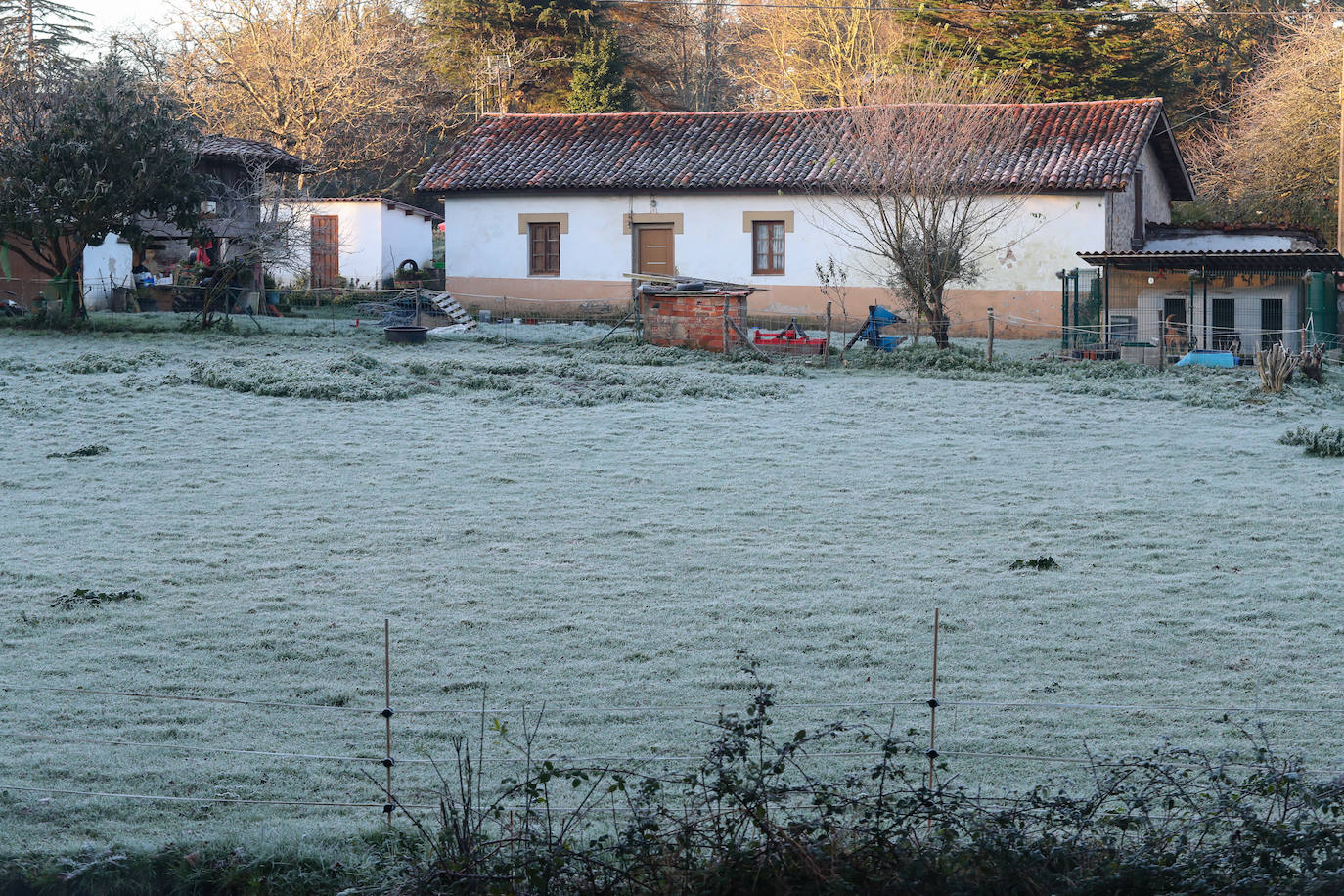 Fotos: Asturias se hiela