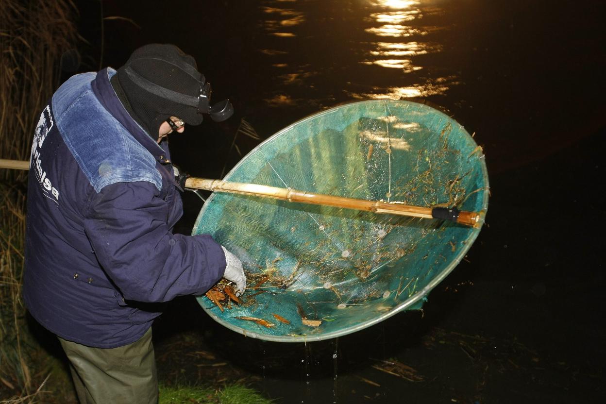 Imagen de archivo de un angulero pescando en la ría del Nalón. 