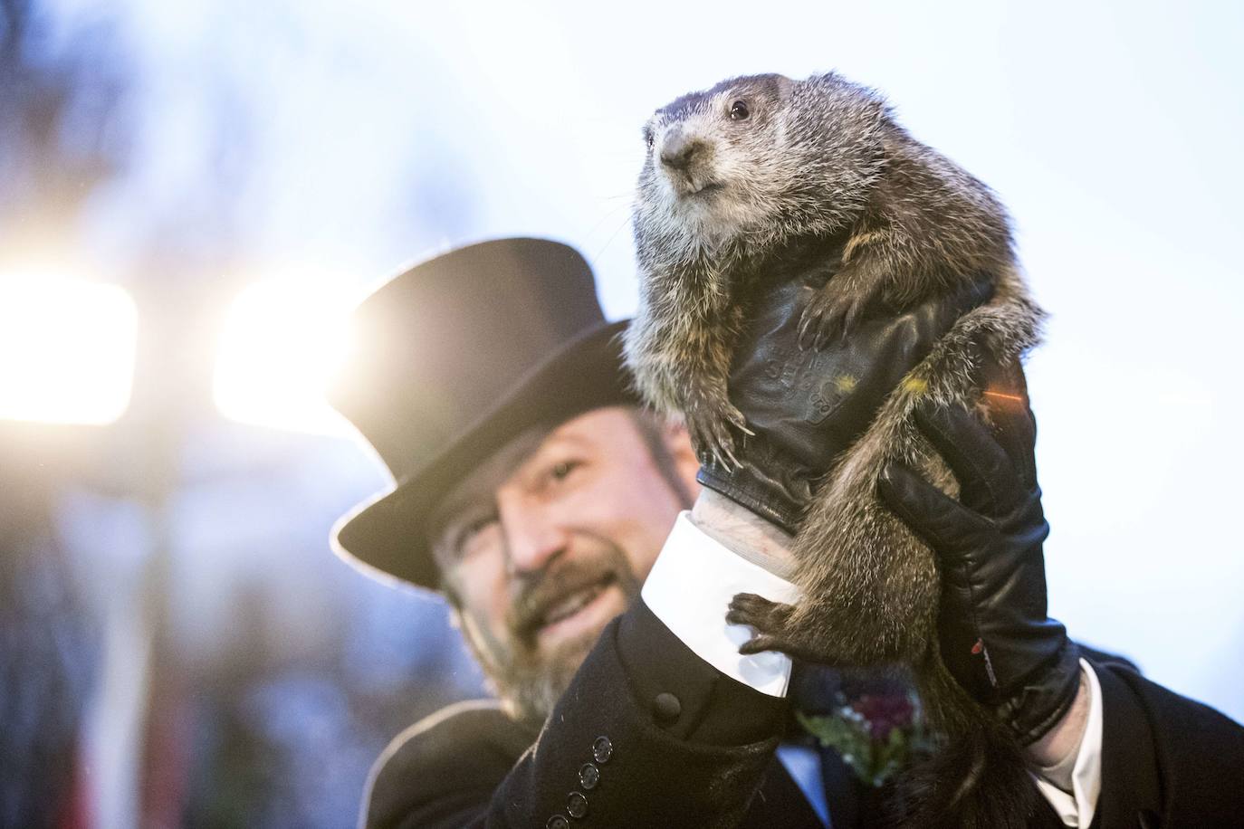 Por qué se celebra el día de la marmota cada 2 de febrero