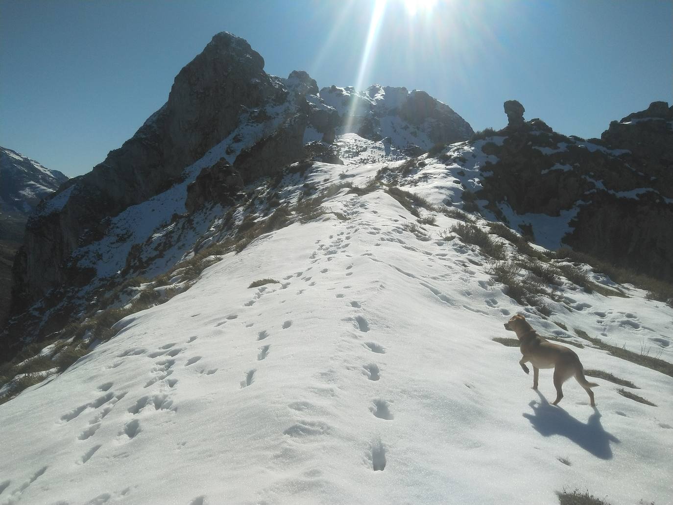 Imagen secundaria 2 - Vista (mirando atrás) del sendero que sale de Aciera hacia la Forcada/ Laderas de la Forcada y vista desde arriba a la collada de Aciera/ collada Forcada, mirando hacia la Hoya 