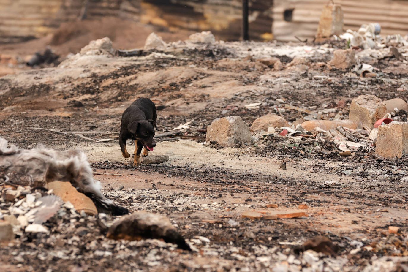 Fotos: El infierno de fuego de Chile