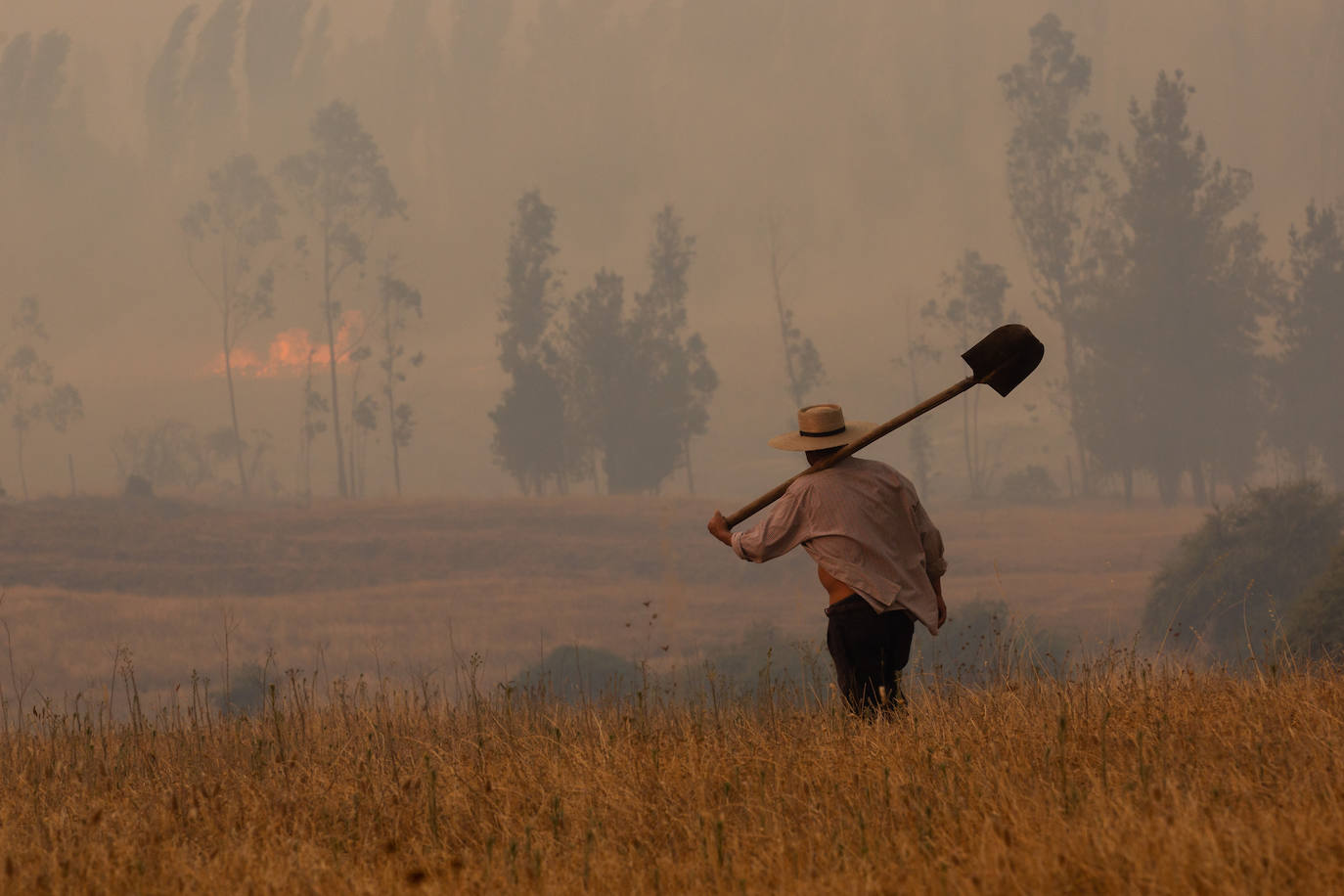 Fotos: El infierno de fuego de Chile