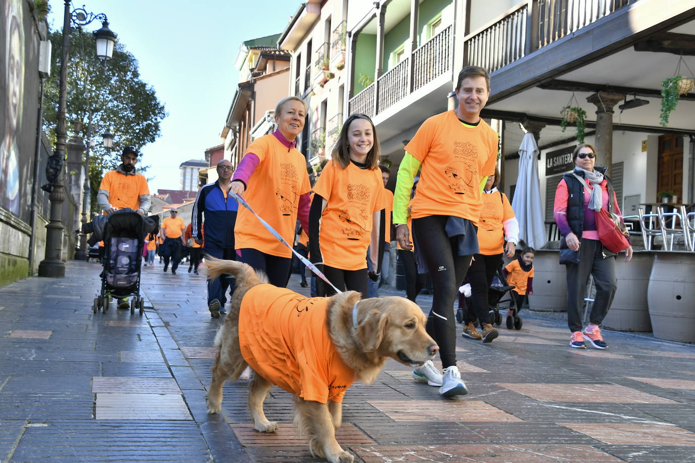 Fotos: Asturias, en lucha contra el cáncer infantil: las imágenes de la Carrera Galbán