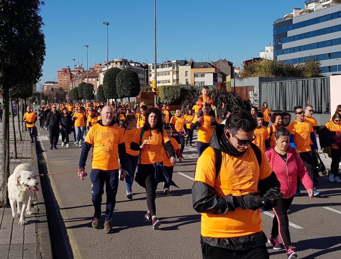 Fotos: Asturias, en lucha contra el cáncer infantil: las imágenes de la Carrera Galbán