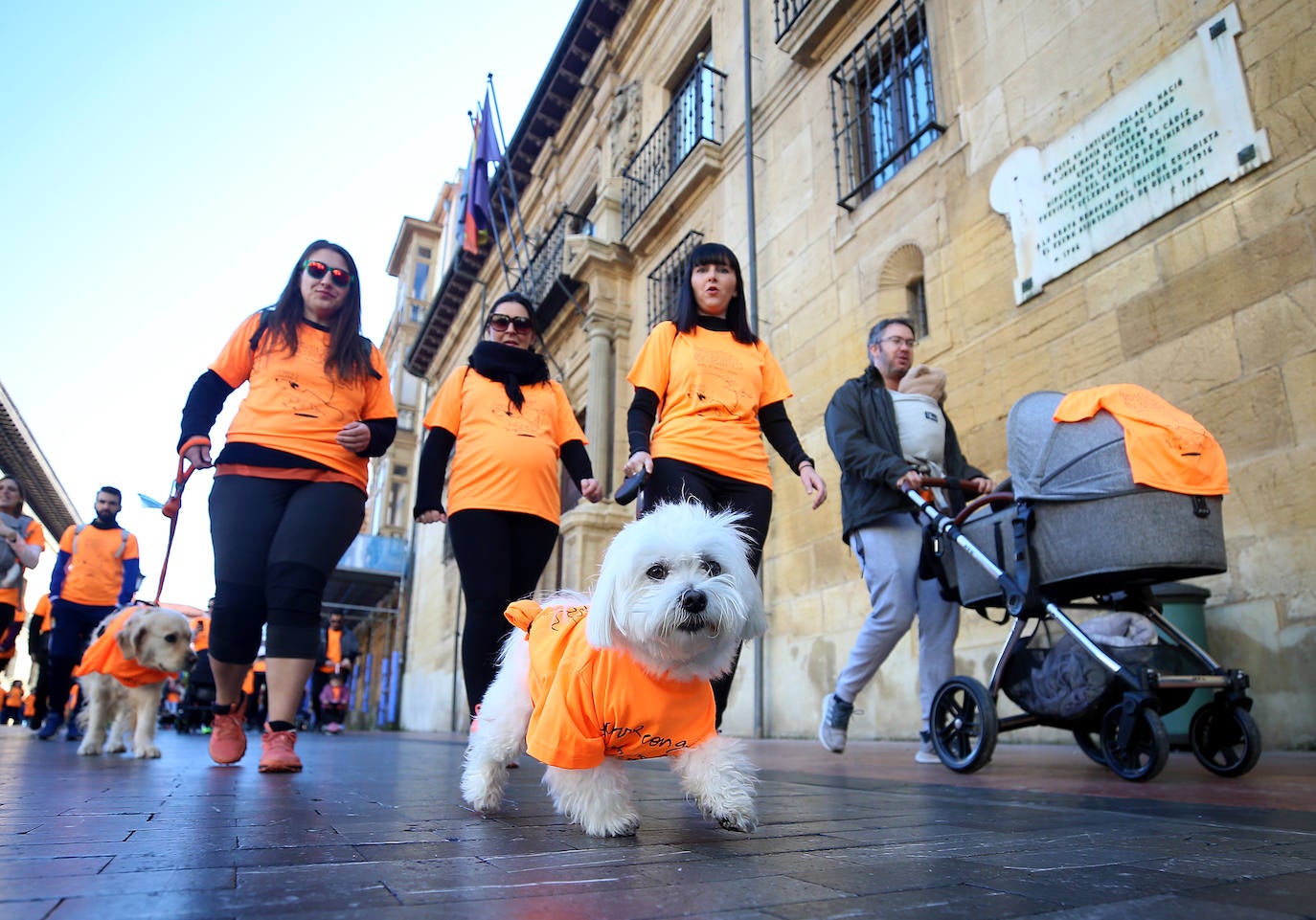 Fotos: Asturias, en lucha contra el cáncer infantil: las imágenes de la Carrera Galbán