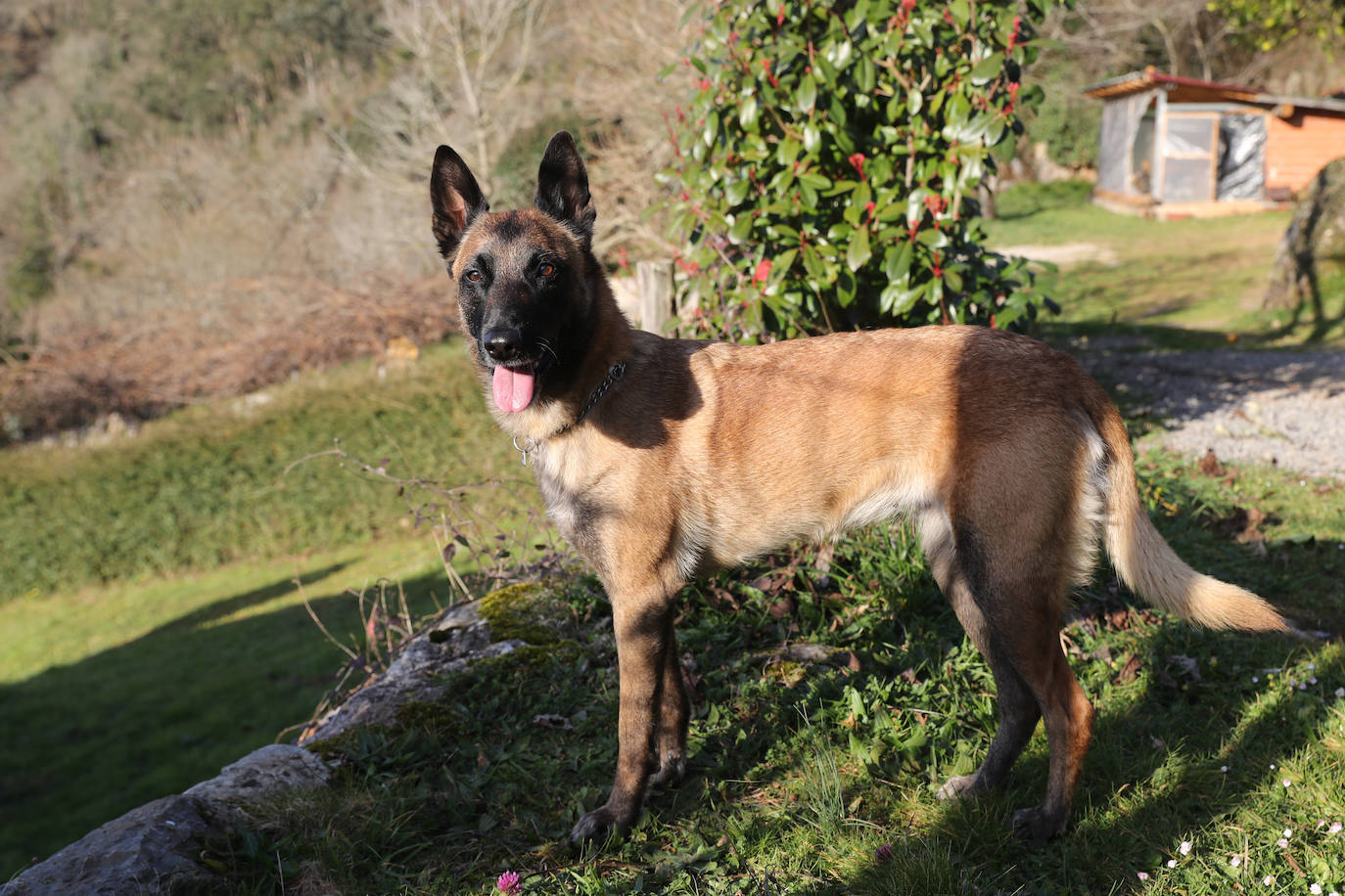 Fotos: «La vida me parece más superficial, es todo muy extraño, mi cabeza sigue allí»