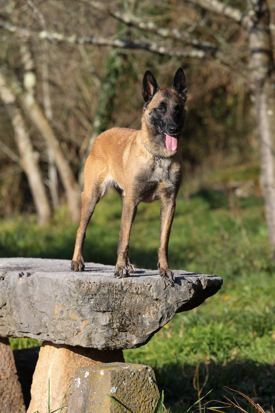 Fotos: «La vida me parece más superficial, es todo muy extraño, mi cabeza sigue allí»