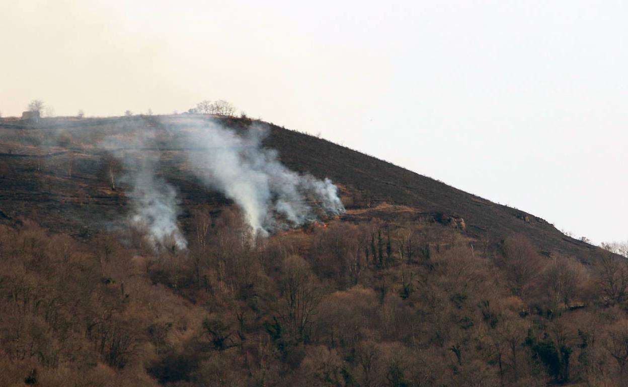 El incendio forestal del monte de Santa Cruz de Mieres.