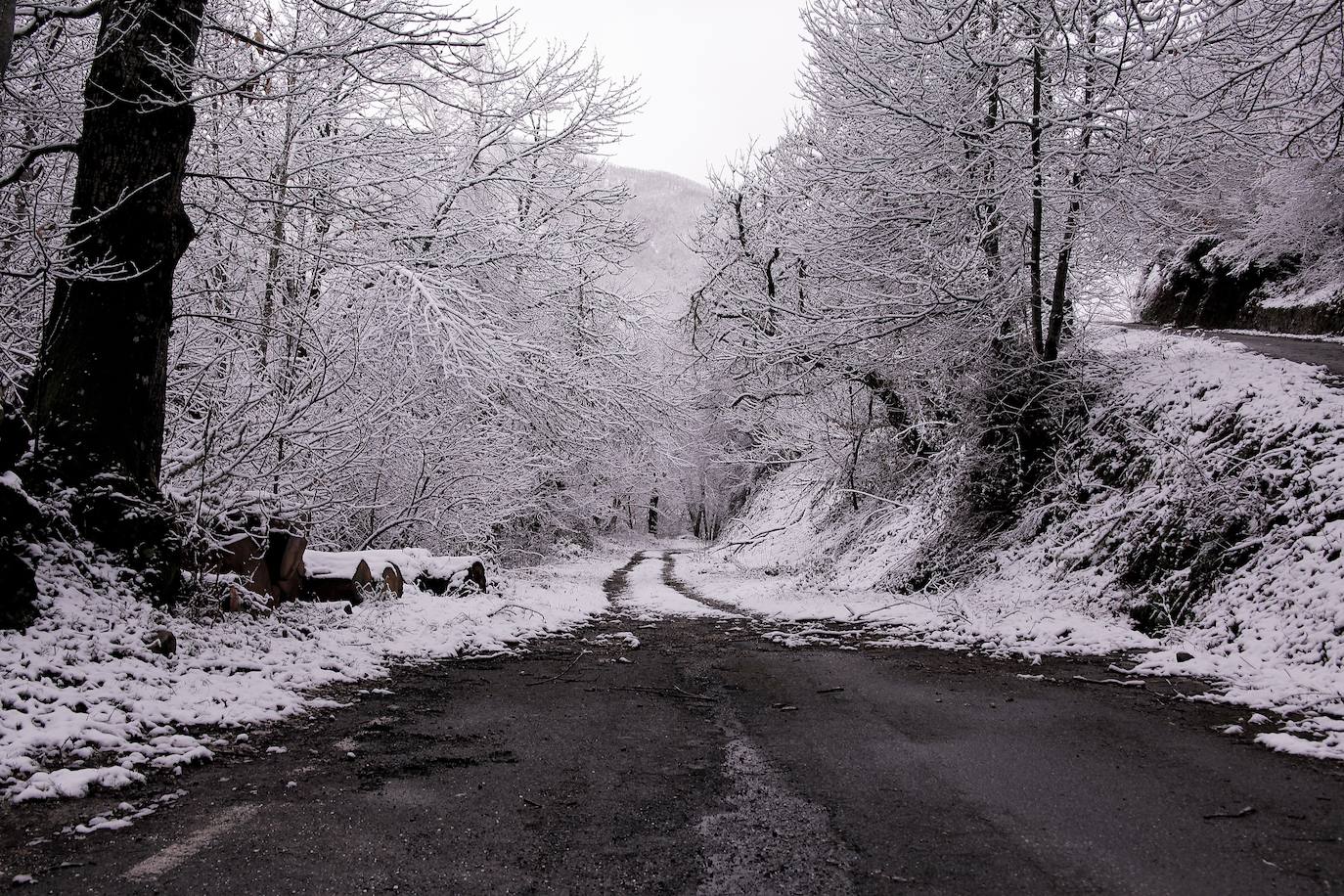Fotos: Asturias, bajo el frío, la nieve y la lluvia