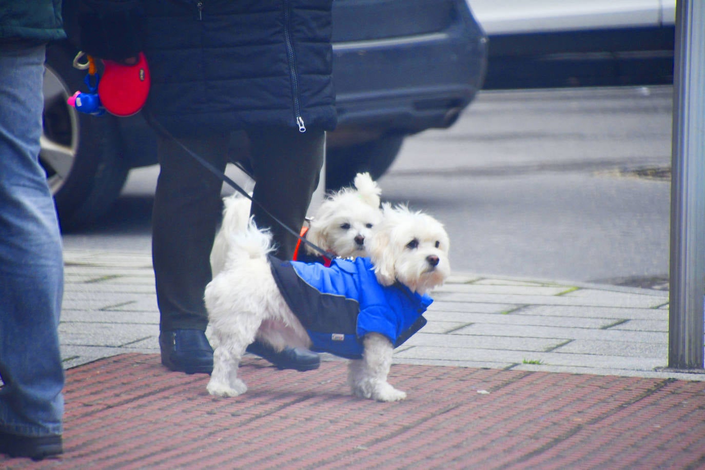 Fotos: Asturias, a temperaturas heladoras