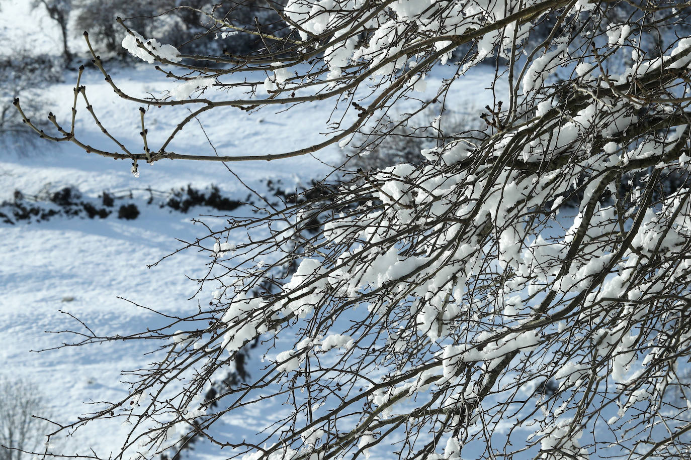 Fotos: Asturias, a temperaturas heladoras