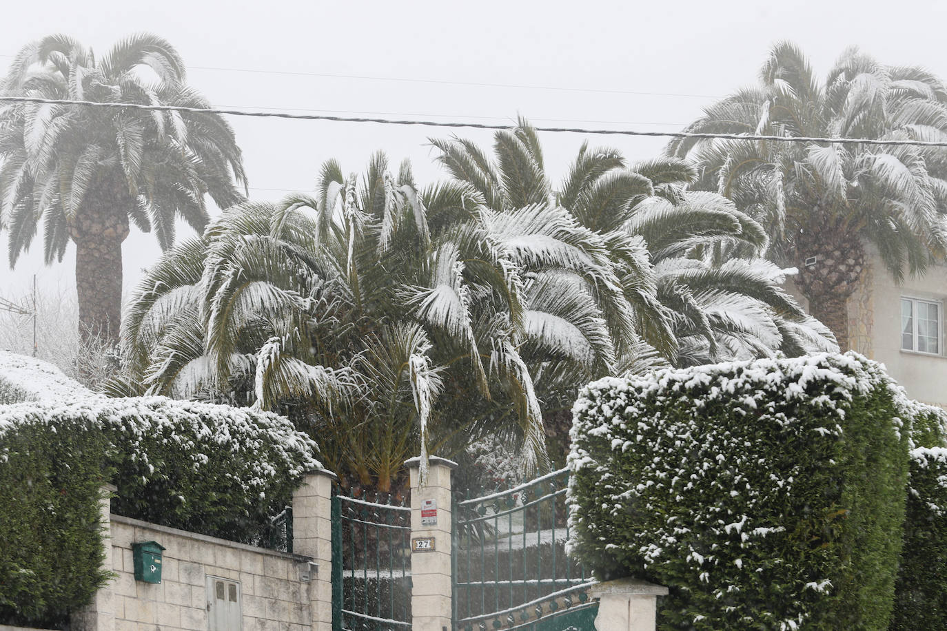 Fotos: Nieve y frío en Asturias