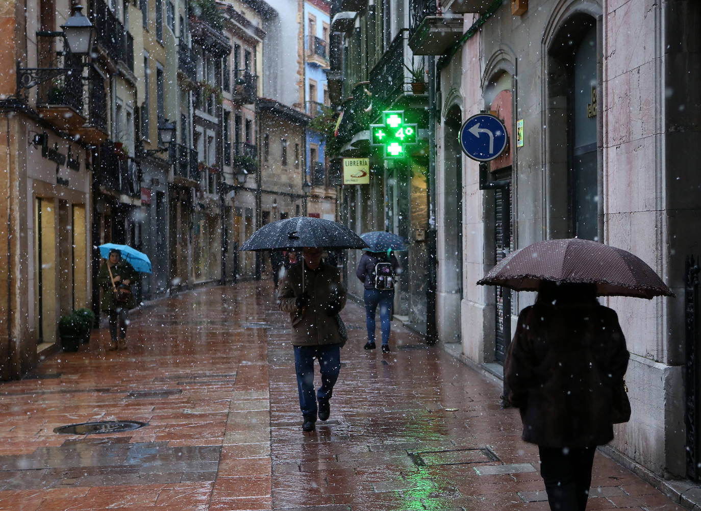 Fotos: Nieve y frío en Asturias