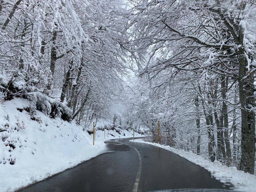 Fotos: Nieve y frío en Asturias