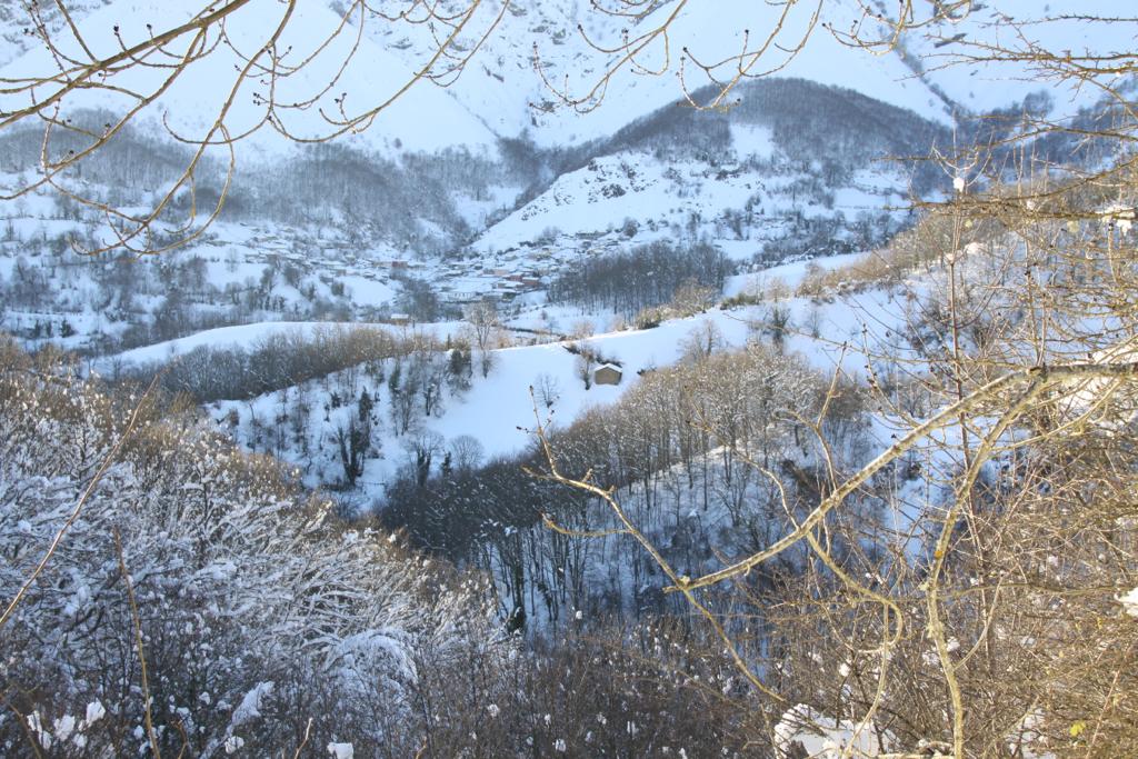 Fotos: La nieve cubre los paisajes de Somiedo y Teverga