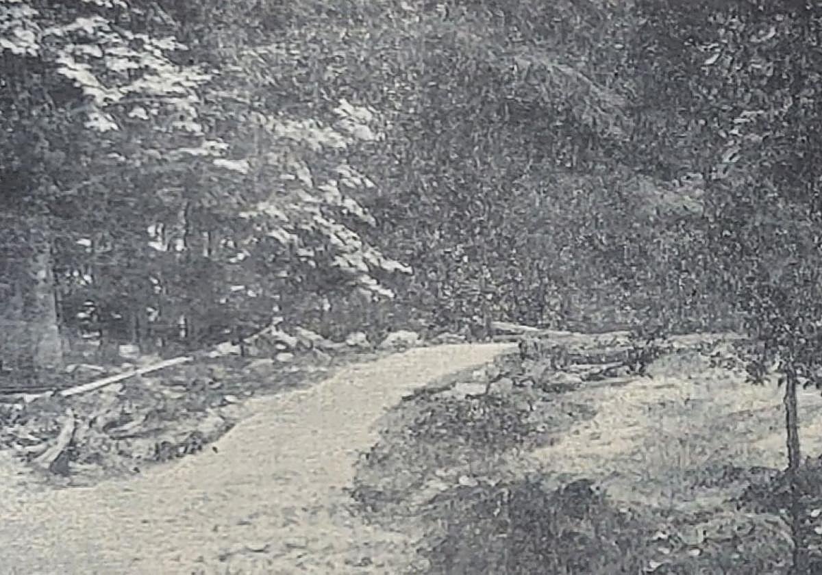 Un 6 de enero los avilesinos pudieron empezar a disfrutar del parque de Ferrera.