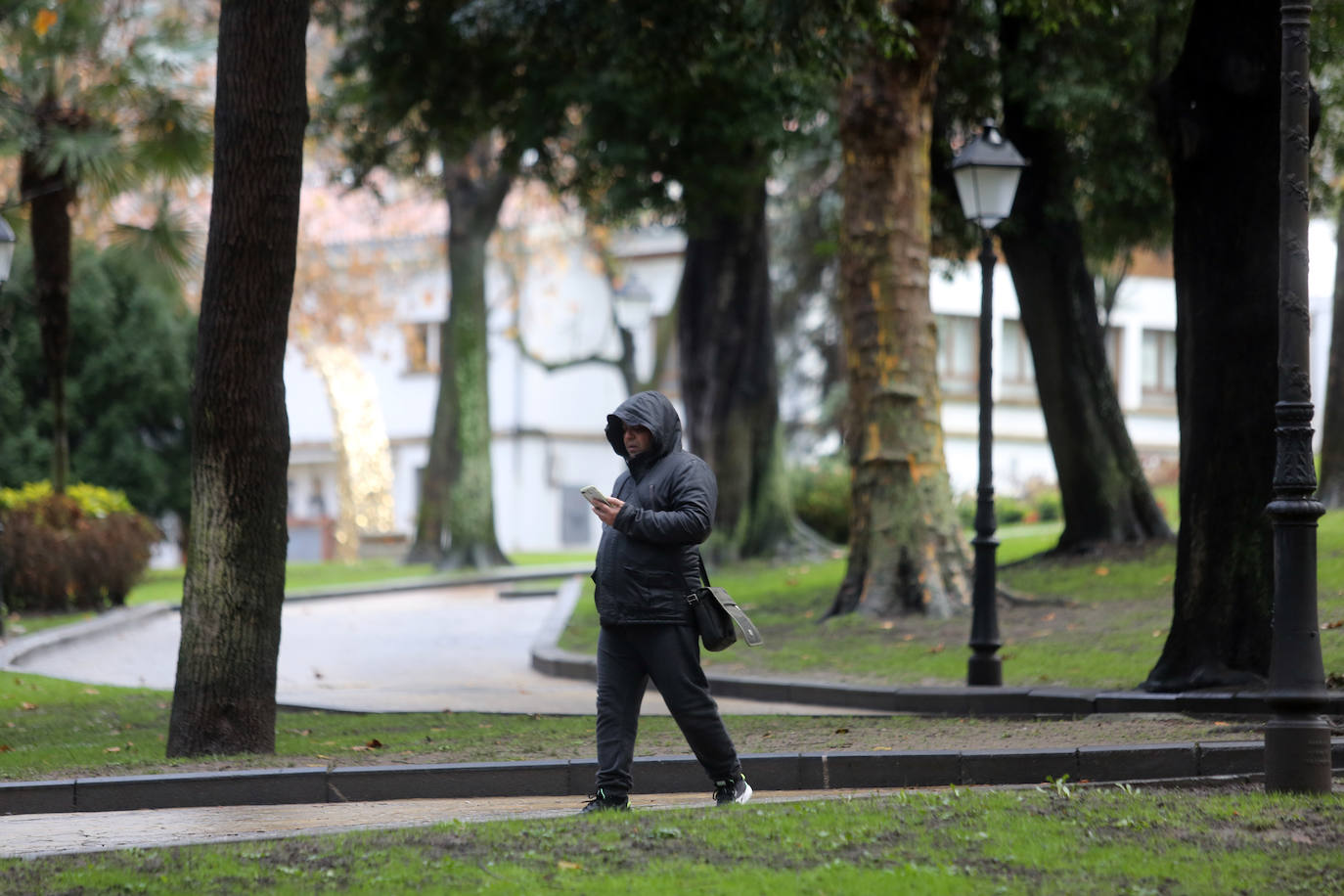 Alerta de frío en Asturias: un manto de nieve cubre el paisaje asturiano