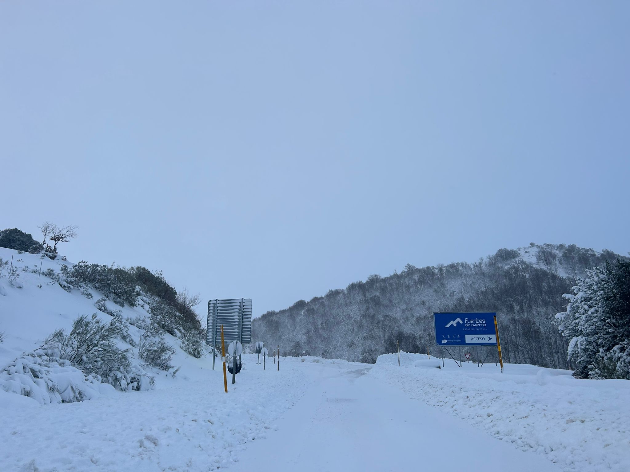 Alerta de frío en Asturias: un manto de nieve cubre el paisaje asturiano