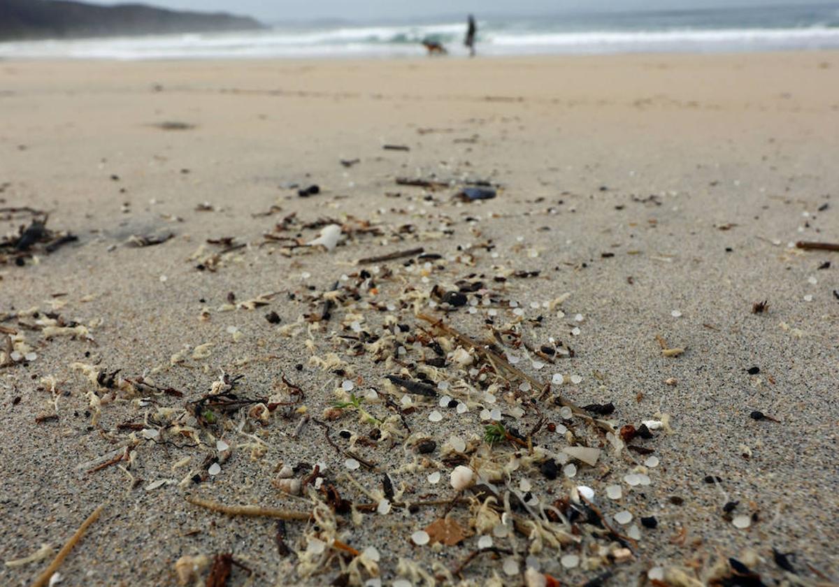 Pellets, en la playa de Ferrol.